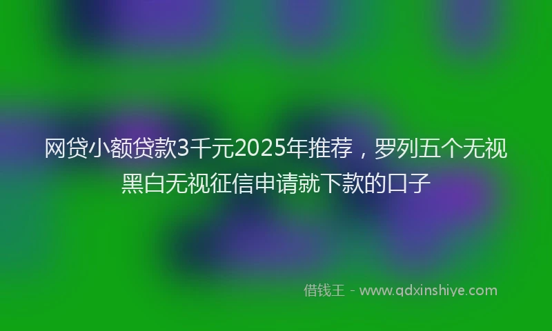 网贷小额贷款3千元2025年推荐，罗列五个无视黑白无视征信申请就下款的口子