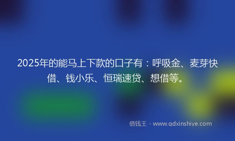 2025年的能马上下款的口子有：呼吸金、麦芽快借、钱小乐、恒瑞速贷、想借等。