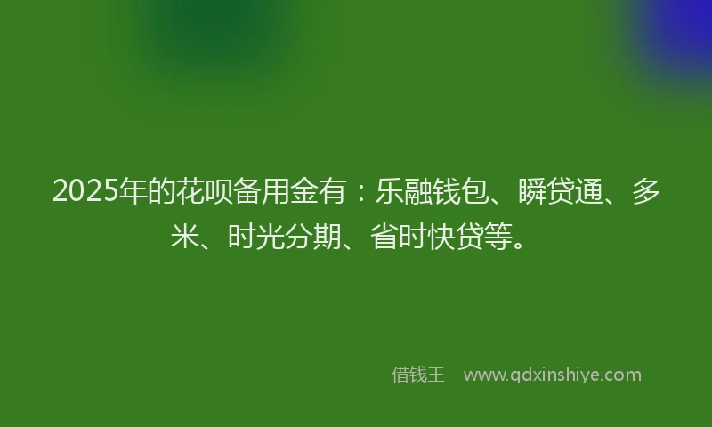 2025年的花呗备用金有：乐融钱包、瞬贷通、多米、时光分期、省时快贷等。