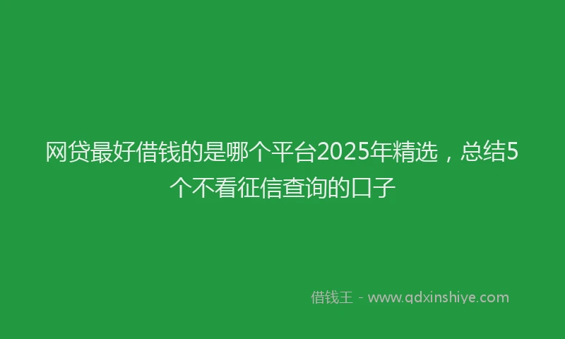 网贷最好借钱的是哪个平台2025年精选，总结5个不看征信查询的口子