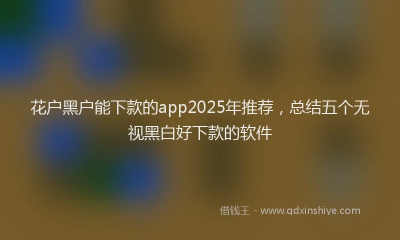 花户黑户能下款的app2025年推荐，总结五个无视黑白好下款的软件