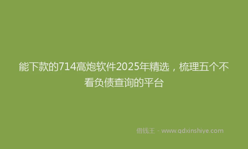 能下款的714高炮软件2025年精选，梳理五个不看负债查询的平台