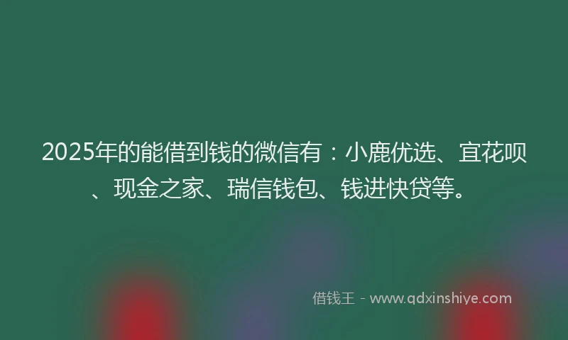 2025年的能借到钱的微信有：小鹿优选、宜花呗、现金之家、瑞信钱包、钱进快贷等。