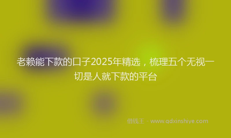 老赖能下款的口子2025年精选，梳理五个无视一切是人就下款的平台