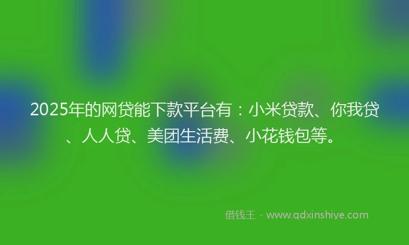 2025年的网贷能下款平台有：小米贷款、你我贷、人人贷、美团生活费、小花钱包等。