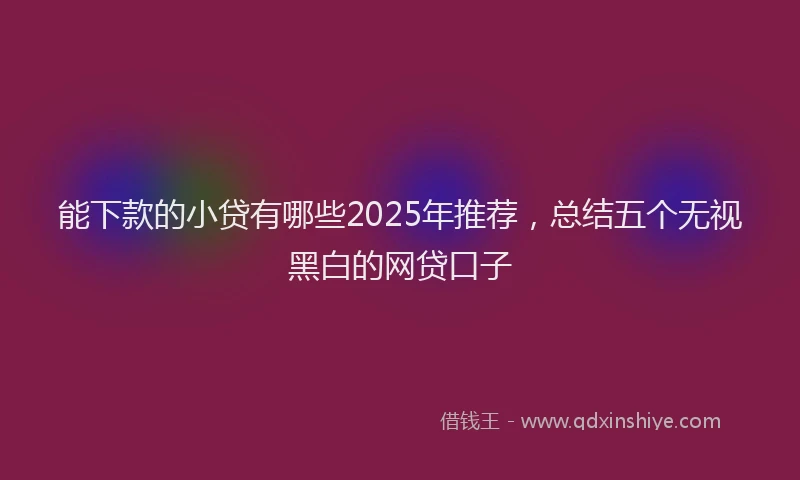 能下款的小贷有哪些2025年推荐，总结五个无视黑白的网贷口子