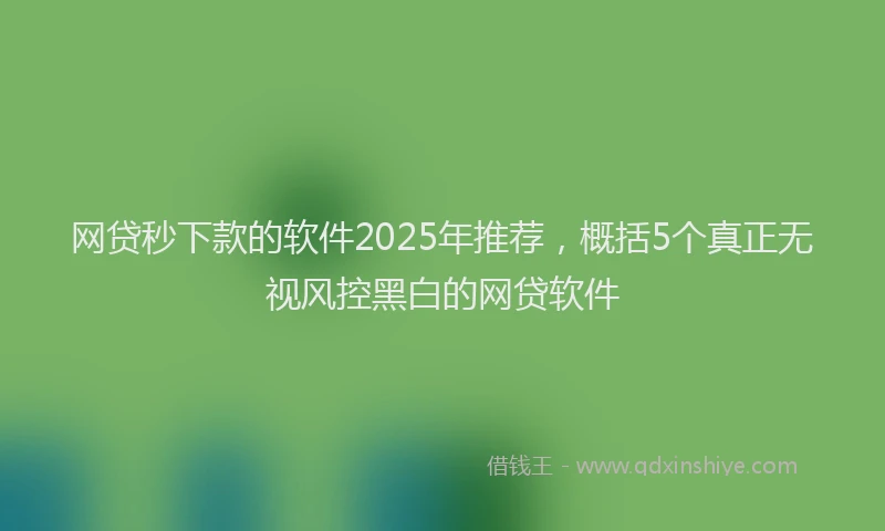 网贷秒下款的软件2025年推荐，概括5个真正无视风控黑白的网贷软件