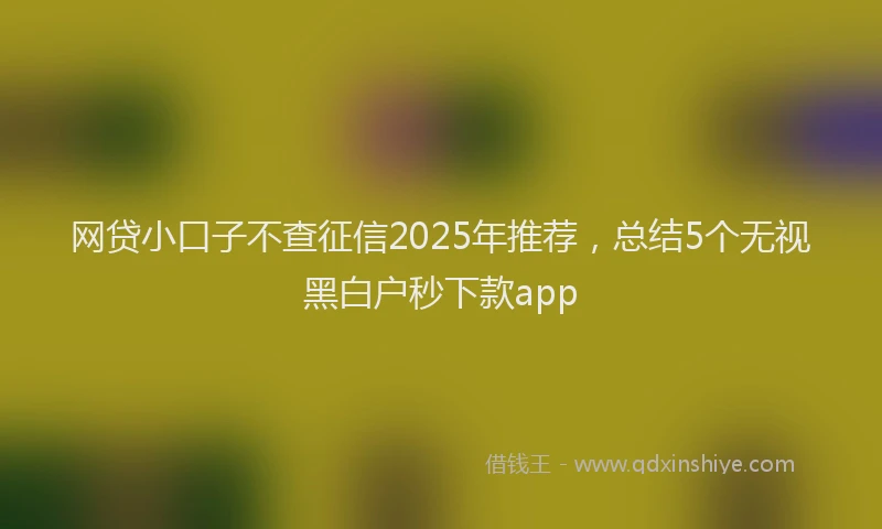 网贷小口子不查征信2025年推荐，总结5个无视黑白户秒下款app