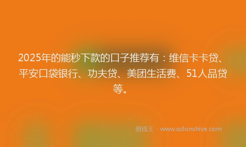 2025年的能秒下款的口子推荐有：维信卡卡贷、平安口袋银行、功夫贷、美团生活费、51人品贷等。