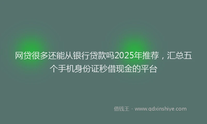 网贷很多还能从银行贷款吗2025年推荐，汇总五个手机身份证秒借现金的平台