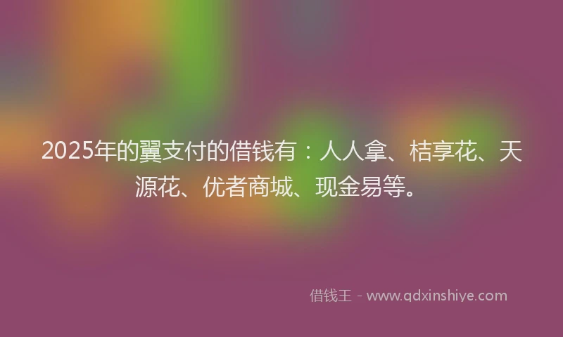 2025年的翼支付的借钱有：人人拿、桔享花、天源花、优者商城、现金易等。