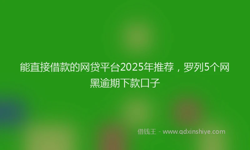能直接借款的网贷平台2025年推荐，罗列5个网黑逾期下款口子