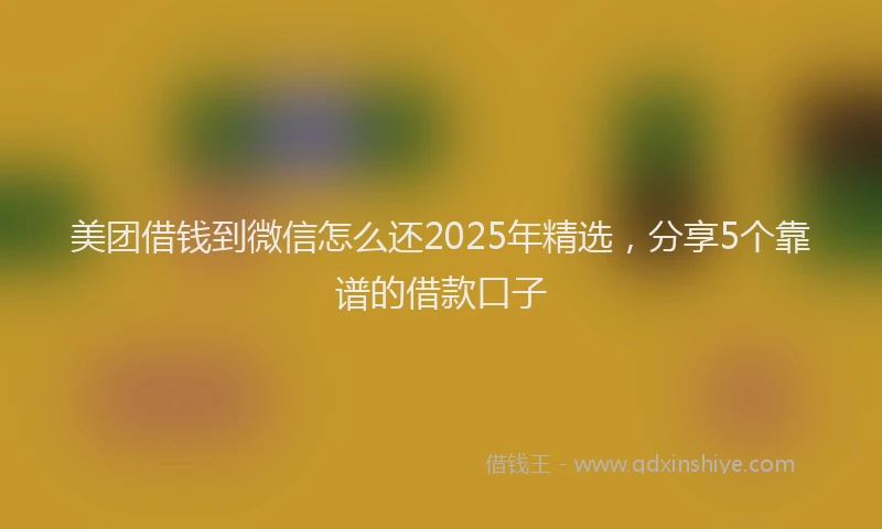 美团借钱到微信怎么还2025年精选，分享5个靠谱的借款口子