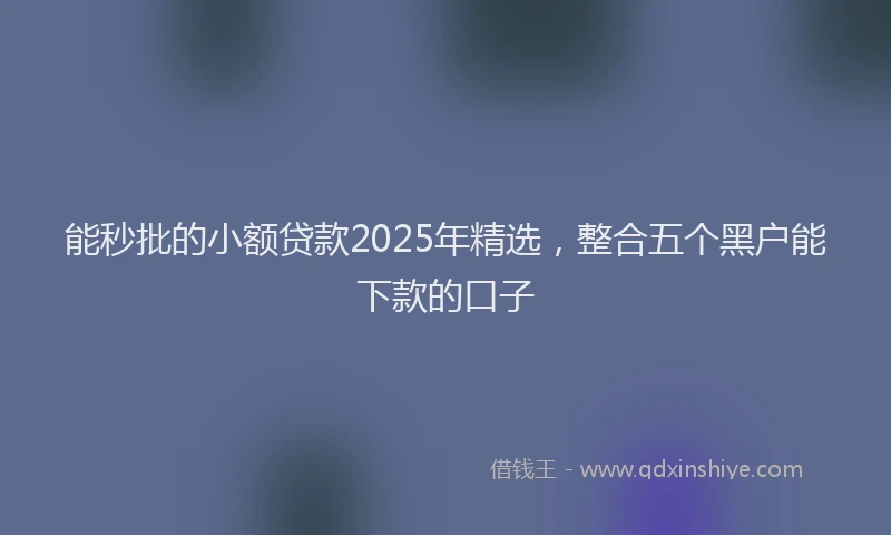能秒批的小额贷款2025年精选，整合五个黑户能下款的口子