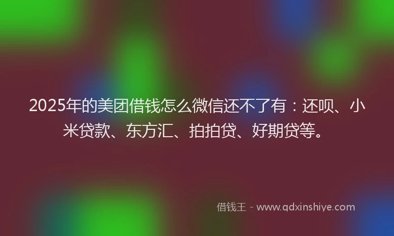 2025年的美团借钱怎么微信还不了有：还呗、小米贷款、东方汇、拍拍贷、好期贷等。