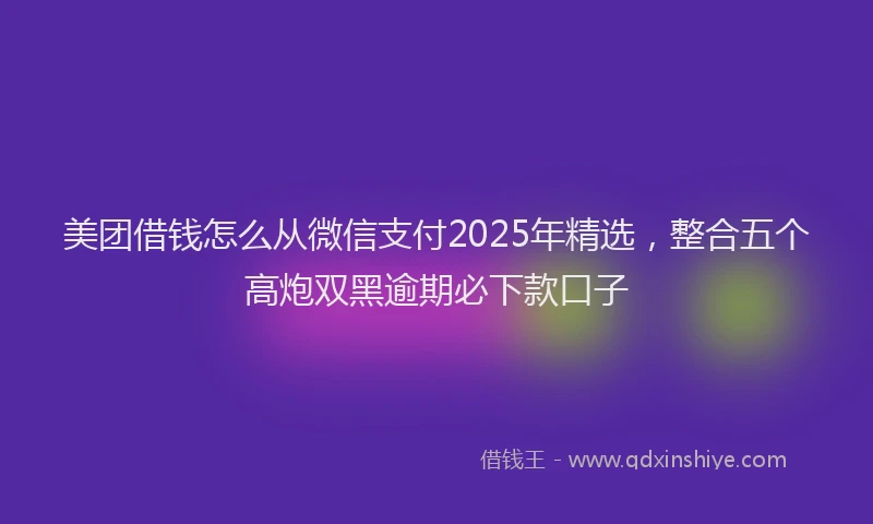 美团借钱怎么从微信支付2025年精选，整合五个高炮双黑逾期必下款口子