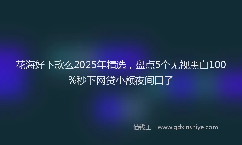 花海好下款么2025年精选，盘点5个无视黑白100%秒下网贷小额夜间口子