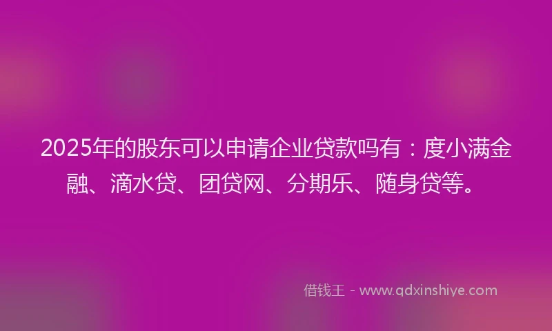 2025年的股东可以申请企业贷款吗有：度小满金融、滴水贷、团贷网、分期乐、随身贷等。