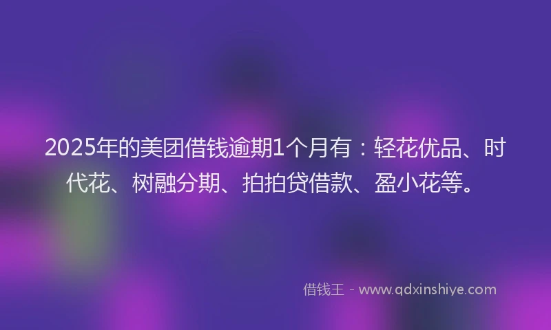 2025年的美团借钱逾期1个月有：轻花优品、时代花、树融分期、拍拍贷借款、盈小花等。