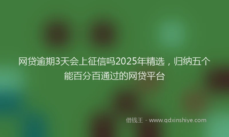 网贷逾期3天会上征信吗2025年精选，归纳五个能百分百通过的网贷平台