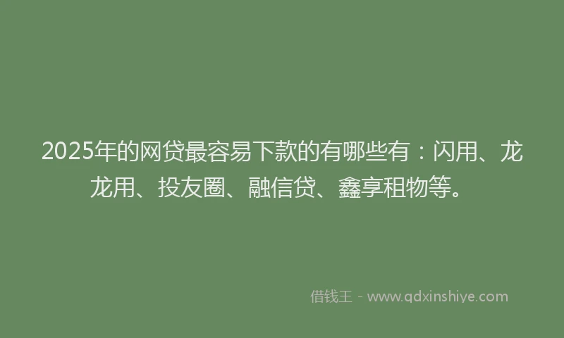 2025年的网贷最容易下款的有哪些有：闪用、龙龙用、投友圈、融信贷、鑫享租物等。