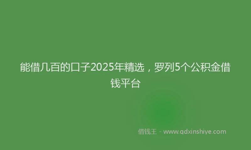 能借几百的口子2025年精选，罗列5个公积金借钱平台