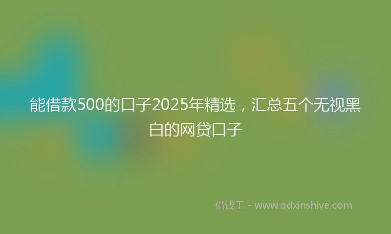 能借款500的口子2025年精选，汇总五个无视黑白的网贷口子