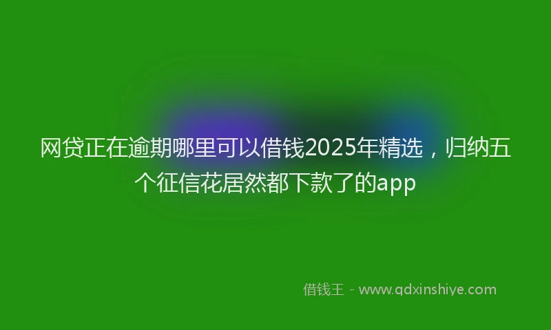 网贷正在逾期哪里可以借钱2025年精选，归纳五个征信花居然都下款了的app