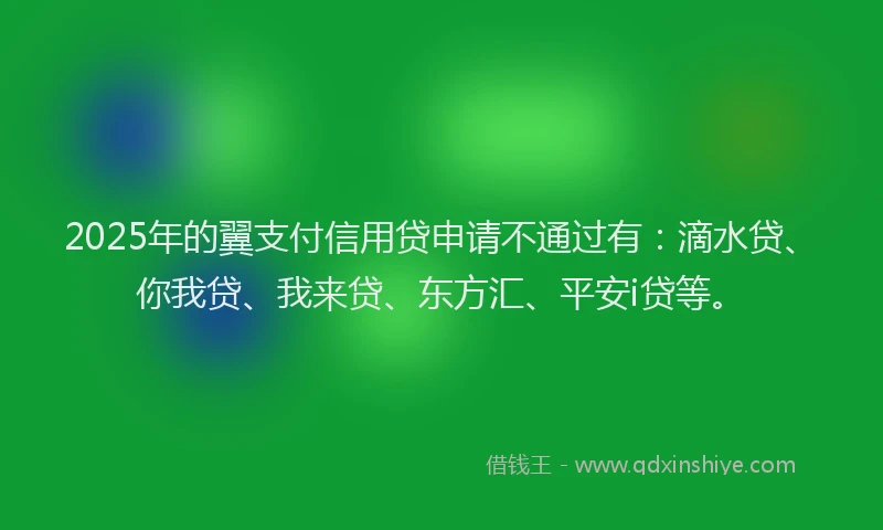 2025年的翼支付信用贷申请不通过有：滴水贷、你我贷、我来贷、东方汇、平安i贷等。