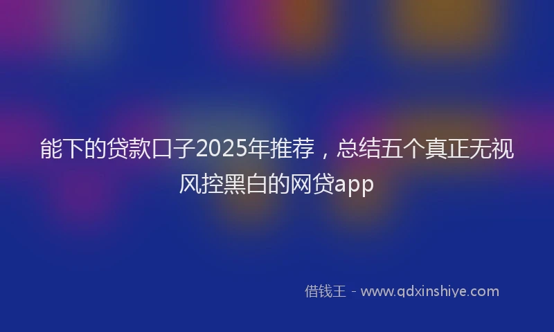 能下的贷款口子2025年推荐，总结五个真正无视风控黑白的网贷app