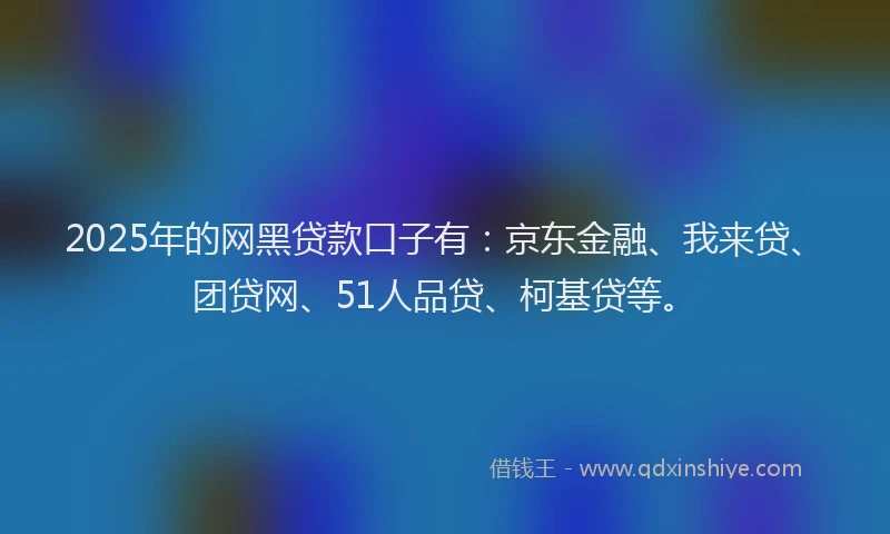 2025年的网黑贷款口子有：京东金融、我来贷、团贷网、51人品贷、柯基贷等。