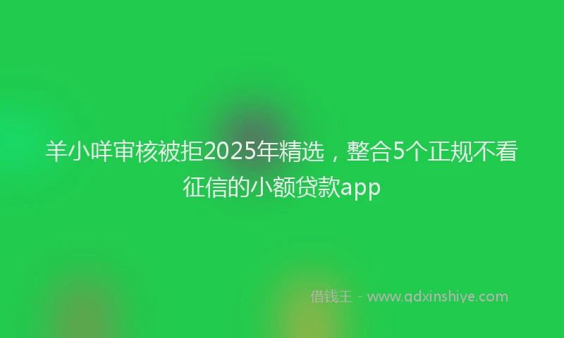 羊小咩审核被拒2025年精选，整合5个正规不看征信的小额贷款app
