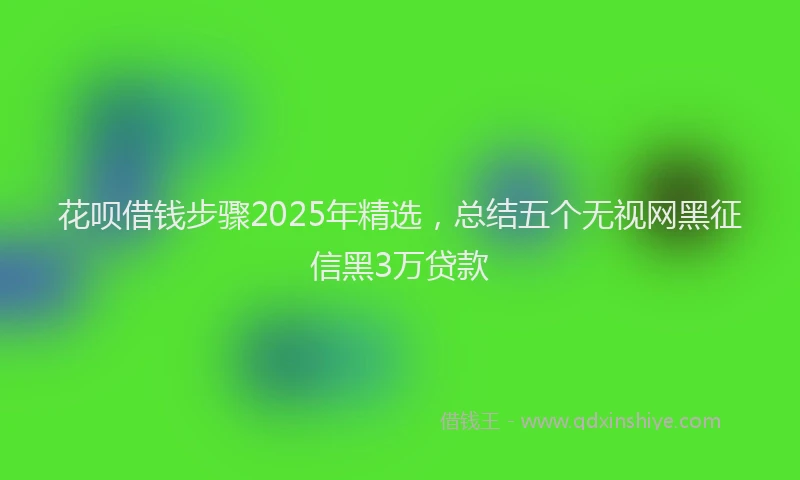 花呗借钱步骤2025年精选，总结五个无视网黑征信黑3万贷款