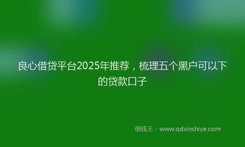 良心借贷平台2025年推荐，梳理五个黑户可以下的贷款口子