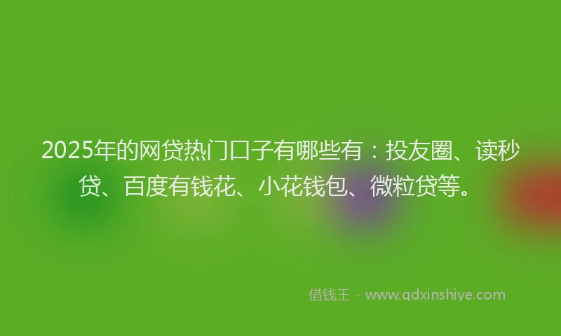 2025年的网贷热门口子有哪些有：投友圈、读秒贷、百度有钱花、小花钱包、微粒贷等。