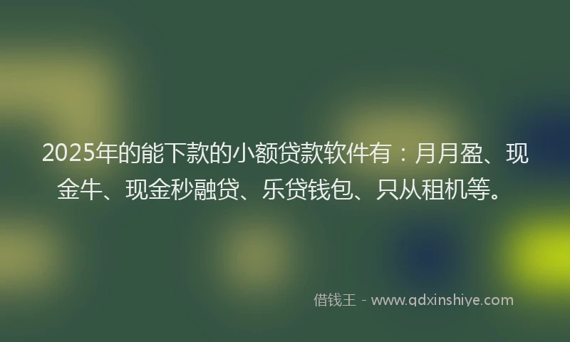 2025年的能下款的小额贷款软件有：月月盈、现金牛、现金秒融贷、乐贷钱包、只从租机等。