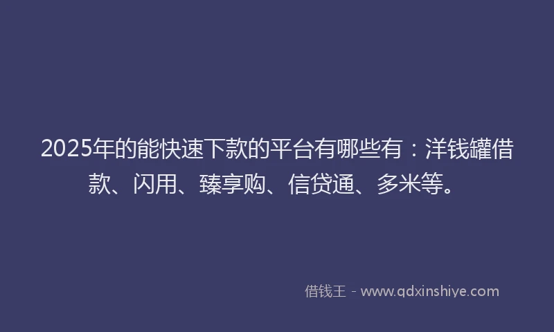2025年的能快速下款的平台有哪些有：洋钱罐借款、闪用、臻享购、信贷通、多米等。