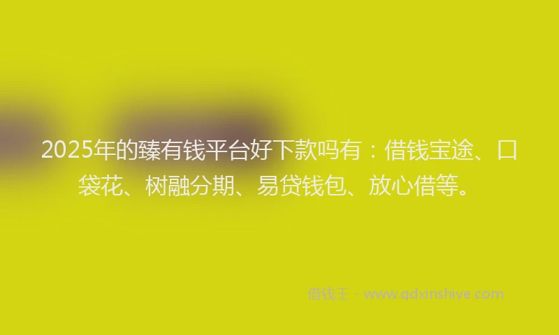 2025年的臻有钱平台好下款吗有：借钱宝途、口袋花、树融分期、易贷钱包、放心借等。
