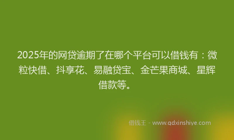 2025年的网贷逾期了在哪个平台可以借钱有：微粒快借、抖享花、易融贷宝、金芒果商城、星辉借款等。