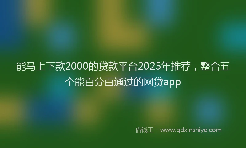 能马上下款2000的贷款平台2025年推荐，整合五个能百分百通过的网贷app