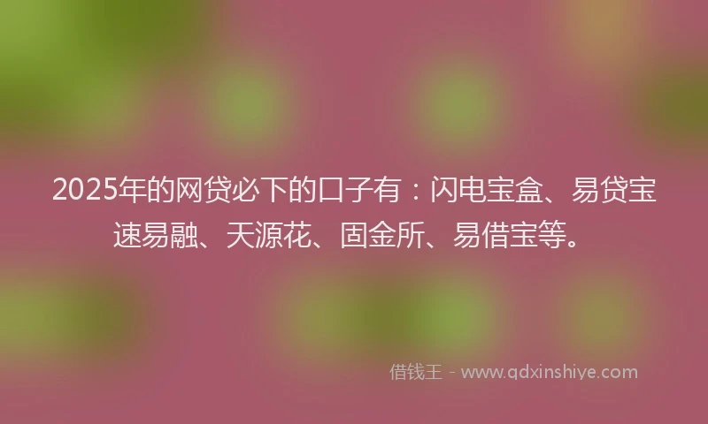 2025年的网贷必下的口子有：闪电宝盒、易贷宝速易融、天源花、固金所、易借宝等。