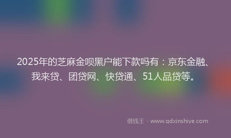 2025年的芝麻金呗黑户能下款吗有：京东金融、我来贷、团贷网、快贷通、51人品贷等。