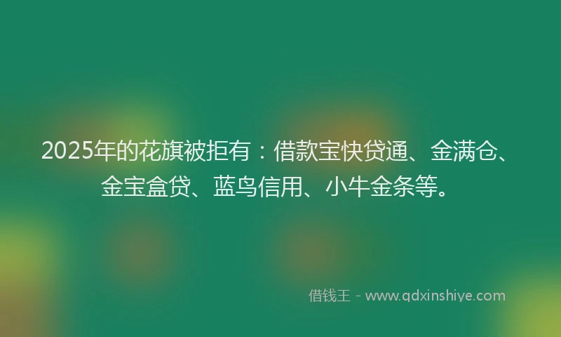 2025年的花旗被拒有：借款宝快贷通、金满仓、金宝盒贷、蓝鸟信用、小牛金条等。