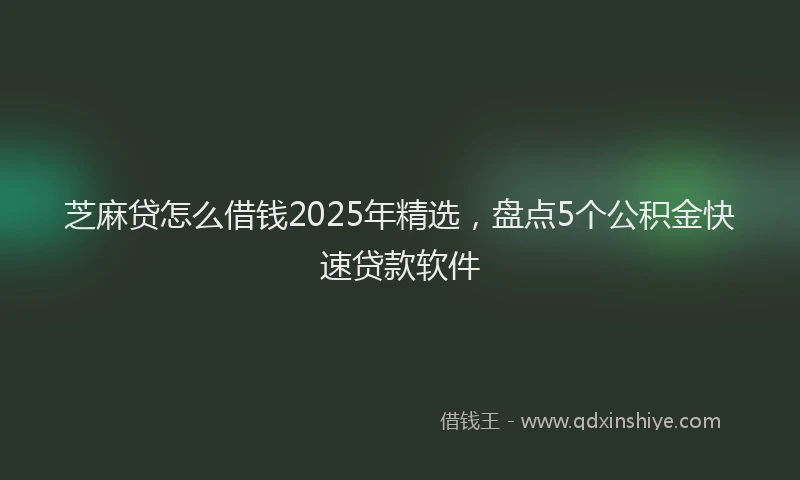 芝麻贷怎么借钱2025年精选，盘点5个公积金快速贷款软件
