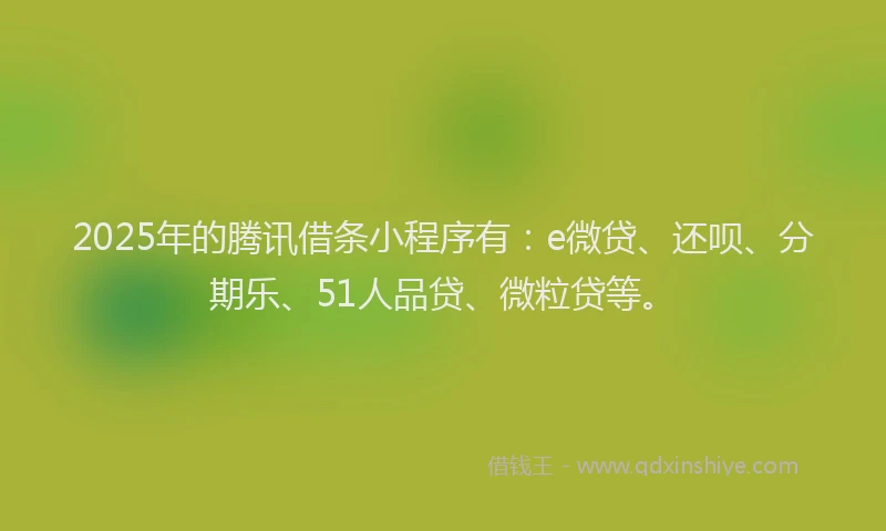 2025年的腾讯借条小程序有：e微贷、还呗、分期乐、51人品贷、微粒贷等。