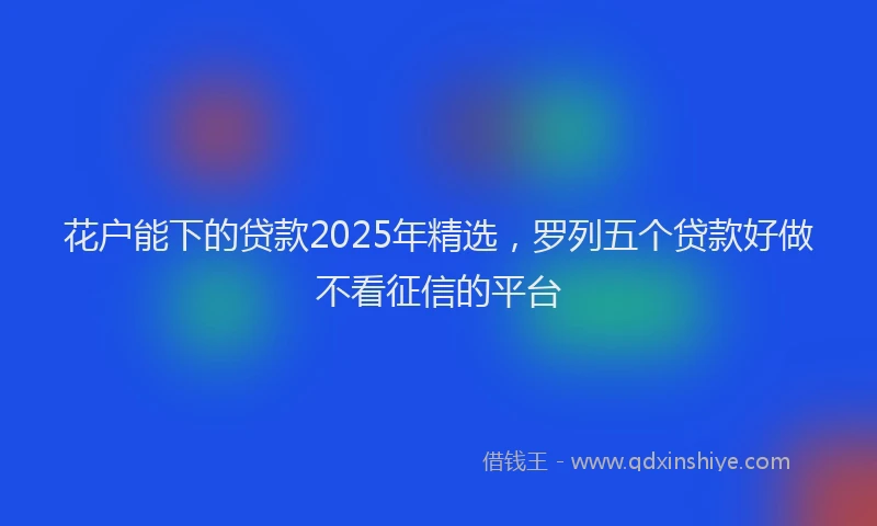 花户能下的贷款2025年精选，罗列五个贷款好做不看征信的平台