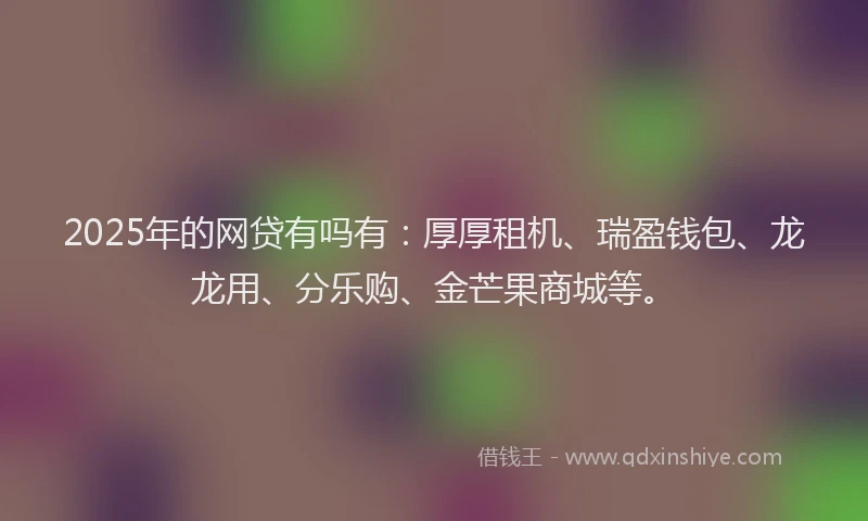 2025年的网贷有吗有：厚厚租机、瑞盈钱包、龙龙用、分乐购、金芒果商城等。