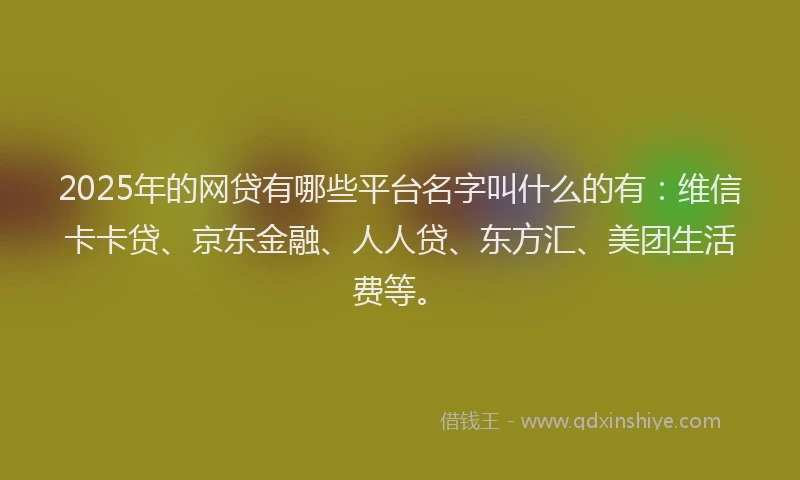 2025年的网贷有哪些平台名字叫什么的有：维信卡卡贷、京东金融、人人贷、东方汇、美团生活费等。