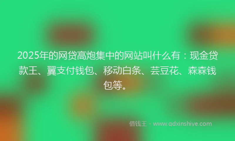 2025年的网贷高炮集中的网站叫什么有：现金贷款王、翼支付钱包、移动白条、芸豆花、森森钱包等。