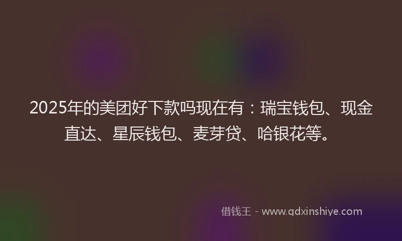 2025年的美团好下款吗现在有：瑞宝钱包、现金直达、星辰钱包、麦芽贷、哈银花等。